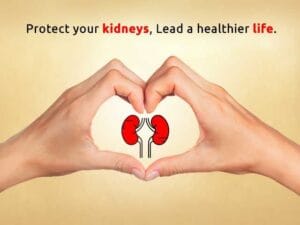 kidney health