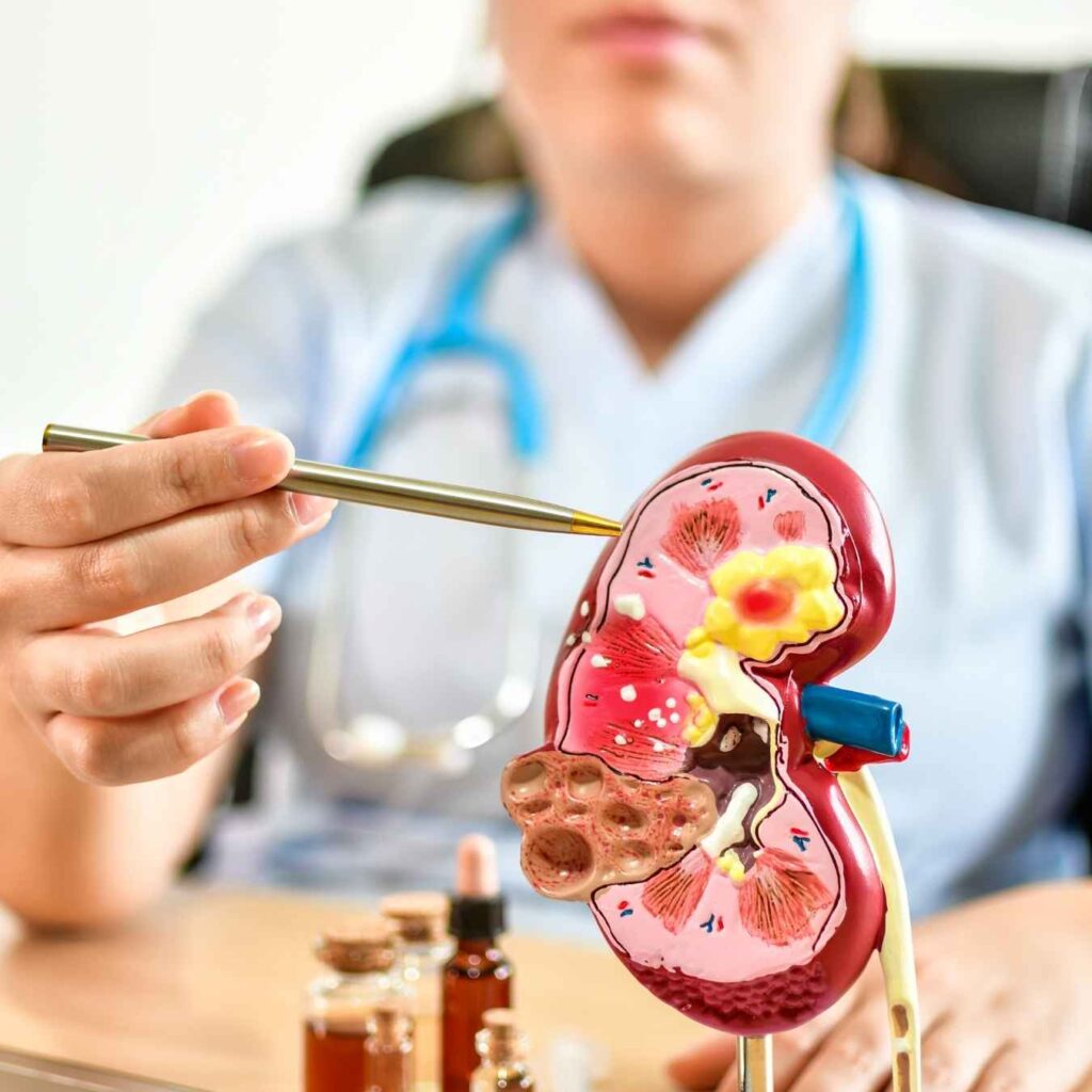 Best Nephrology Billing Services In Florida